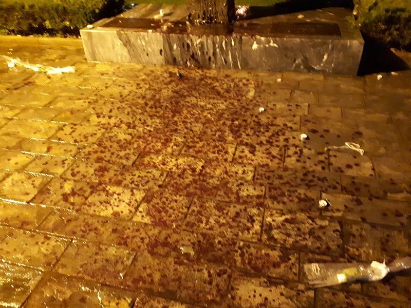 Θεσσαλονίκη: Με βροχή το συλλαλητήριο για τη Μακεδονία, εκατοντάδες στο δρόμο [εικόνες & βίντεο] | iefimerida.gr 4