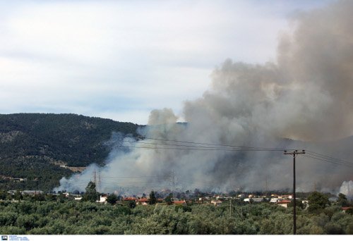Μεγάλη φωτιά στους Αγίους Θεοδώρους Κορινθίας -Ενας νεκρός [εικόνες & βίντεο] | iefimerida.gr 4