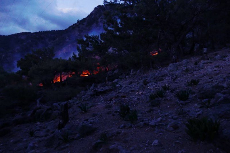 Φωτιά σε δάσος των Σφακίων -Δυσκολίες στην κατάσβεσή της [εικόνες] | iefimerida.gr 3