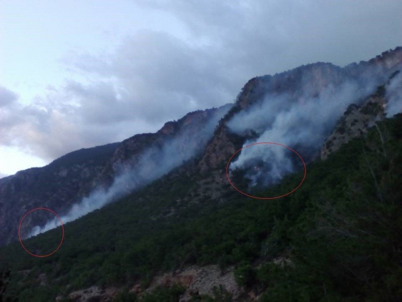 Φωτιά σε δάσος των Σφακίων -Δυσκολίες στην κατάσβεσή της [εικόνες] | iefimerida.gr 0