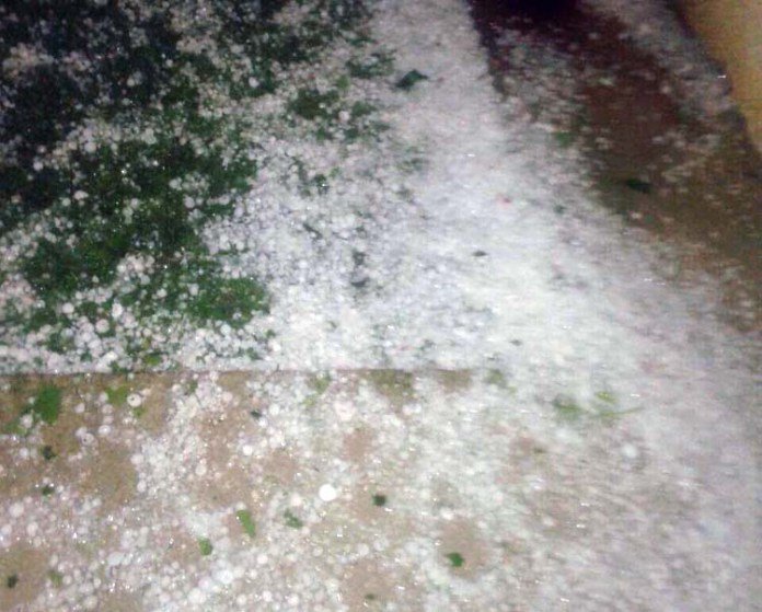 Λάρισα: Χαλαζόπτωση και ανεμοθύελλα έπληξαν χωριά του νομού [εικόνες] | iefimerida.gr 2