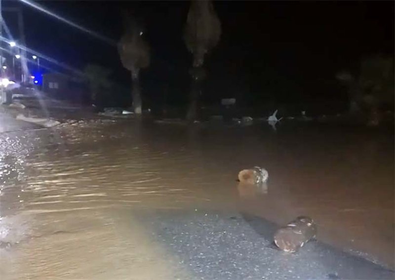 Λάρισα: Ρέμα παρέσυρε εν κινήσει αυτοκίνητο και το πέταξε στη θάλασσα -Περαστικοί έσωσαν τον οδηγό [εικόνες & βίντεο] | iefimerida.gr 0