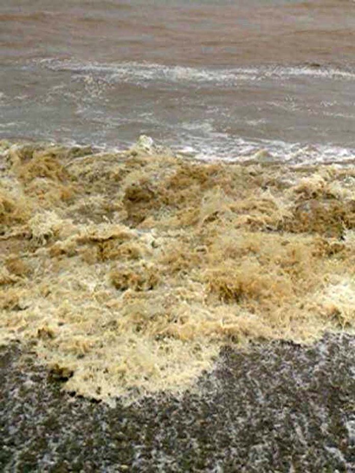 Η κακοκαιρία ανακάτεψε τη θάλασσα στη Λάρισα -Εγινε λάσπη, εικόνες χειμώνα [εικόνες] | iefimerida.gr 6