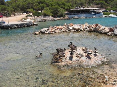 Παραλήρημα των Ιταλών για το Αγκίστρι: Ενας «ιδιωτικός» παράδεισος με 10 ονειρικές παραλίες [εικόνες] | iefimerida.gr 0