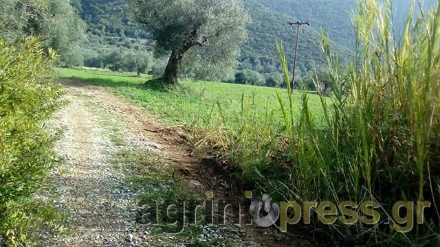 «Αγάπη μου θα τα πούμε στην άλλη ζωή» -Τα sms της 44χρονης από το Μεσολόγγι πριν βρεθεί νεκρή [εικόνες] | iefimerida.gr 2