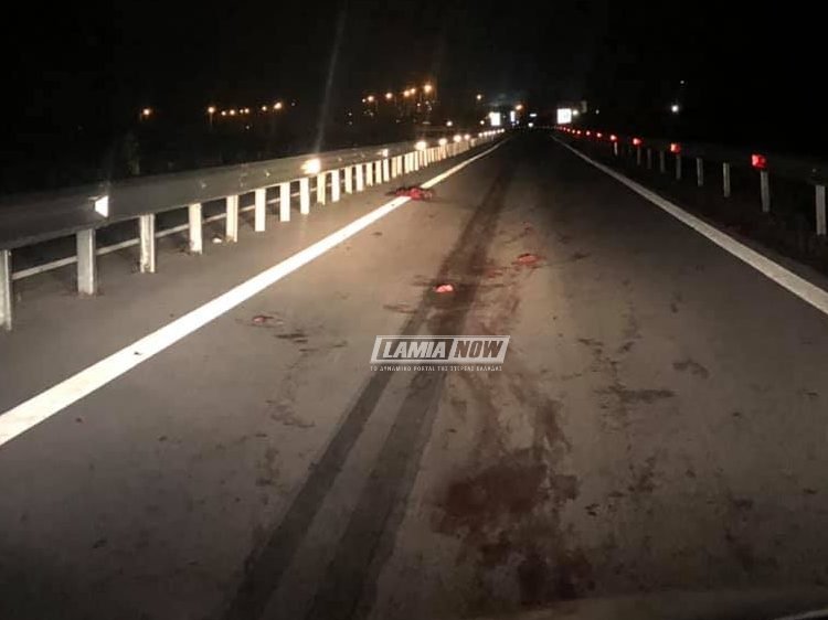 Απίστευτο συμβάν στη Φθιώτιδα: Οδηγός συγκρούστηκε με κοπάδι αγριογούρουνων [σκληρές εικόνες] | iefimerida.gr 1