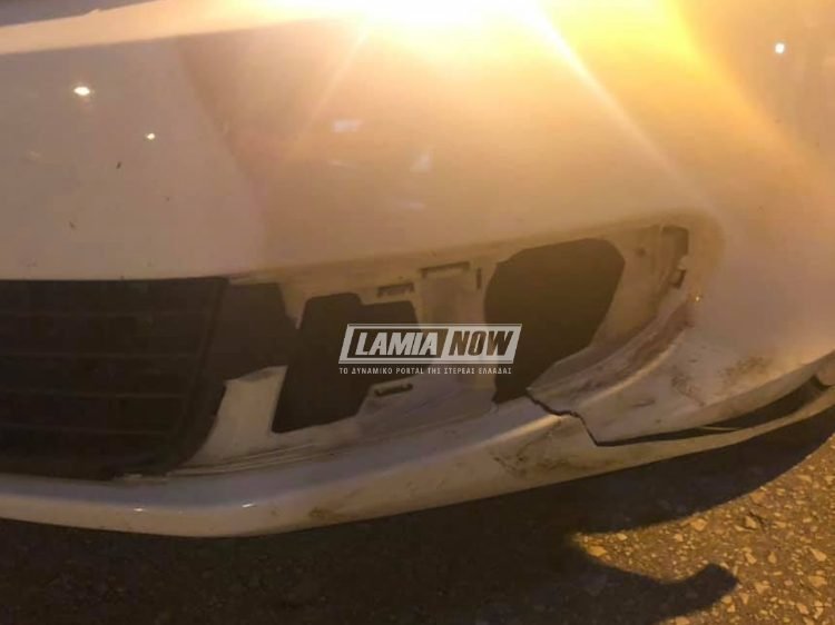 Απίστευτο συμβάν στη Φθιώτιδα: Οδηγός συγκρούστηκε με κοπάδι αγριογούρουνων [σκληρές εικόνες] | iefimerida.gr 2