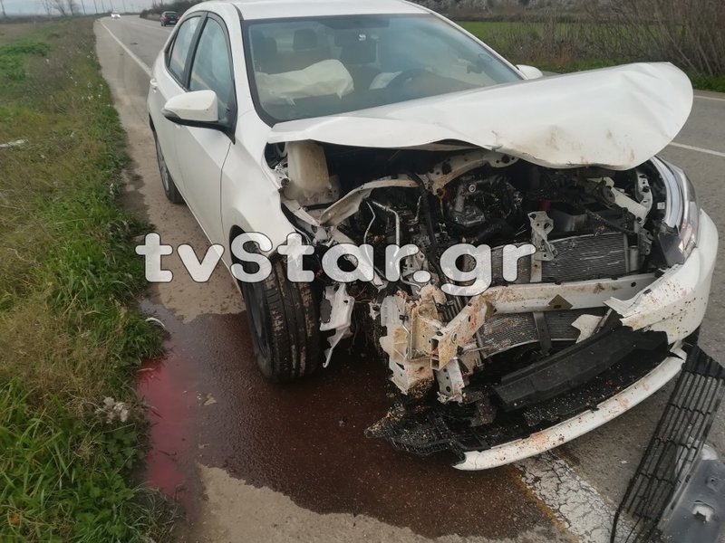 Βοιωτία: Σφοδρή σύγκρουση αυτοκινήτου με αγριογούρουνο | iefimerida.gr 0