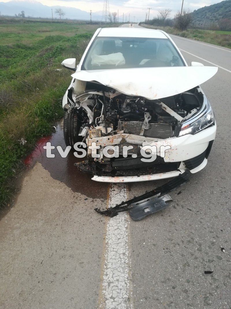 Βοιωτία: Σφοδρή σύγκρουση αυτοκινήτου με αγριογούρουνο | iefimerida.gr 1
