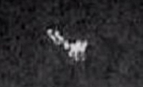 Σάλος στο Ιντερνετ με φωτογραφία της βρετανικής αστυνομίας -Εντόπισαν με θερμική κάμερα τον Αγιο Βασίλη [εικόνες] | iefimerida.gr 1