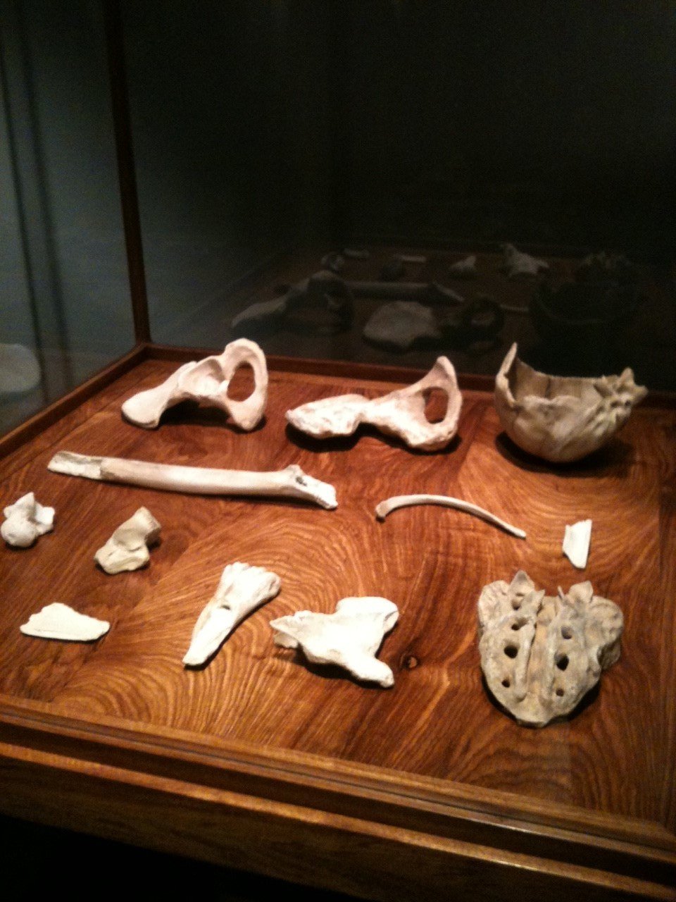 O Ai Wei Wei εκθέτει στο Κυκλαδικό: Από δακρυγόνα, μέχρι αγάλματα και φέρετρα[εικόνες] | iefimerida.gr 3