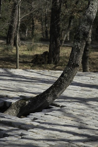 Ο Αϊ Γουέι Γουέι φτιάχνει μονοπάτια με πέτρες από το λιμάνι της Μασσαλίας [εικόνες]  | iefimerida.gr 1