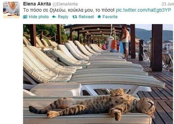 Για ποια έγραψε η Έλενα Ακρίτα «το πόσο σε ζηλεύω κούκλα μου, το πόσο!» | iefimerida.gr 0