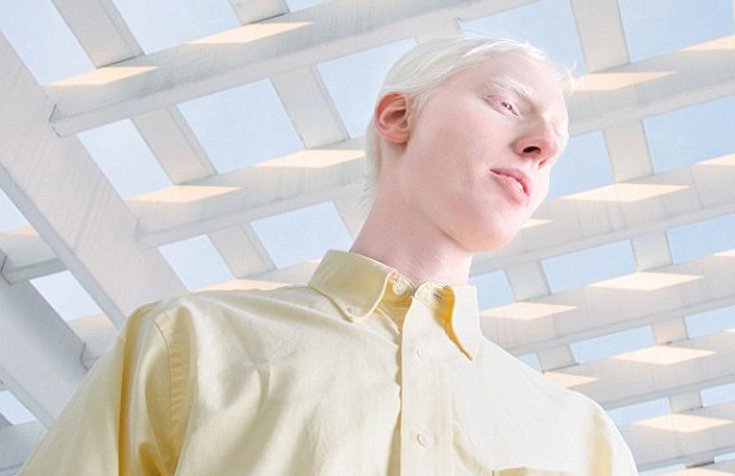 Η ομορφιά των αλμπίνων [εικόνες] | iefimerida.gr 4