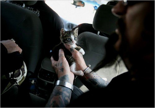 Rescue Ink: Οι τρομακτικοί μηχανόβιοι της Νέας Υόρκης που προστατεύουν τα ζώα [εικόνες] | iefimerida.gr 4