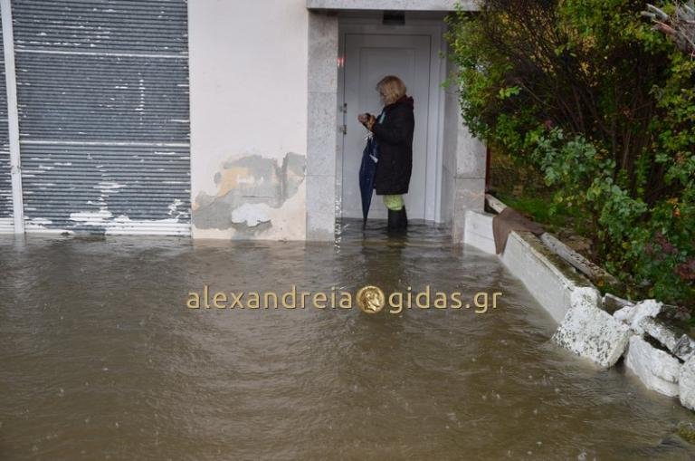 Δύσκολη νύχτα και στην Μακεδονία: 450 κλήσεις στην Πυροσβεστική, απεγκλώβισαν 38 άτομα [εικόνες & βίντεο] | iefimerida.gr 0