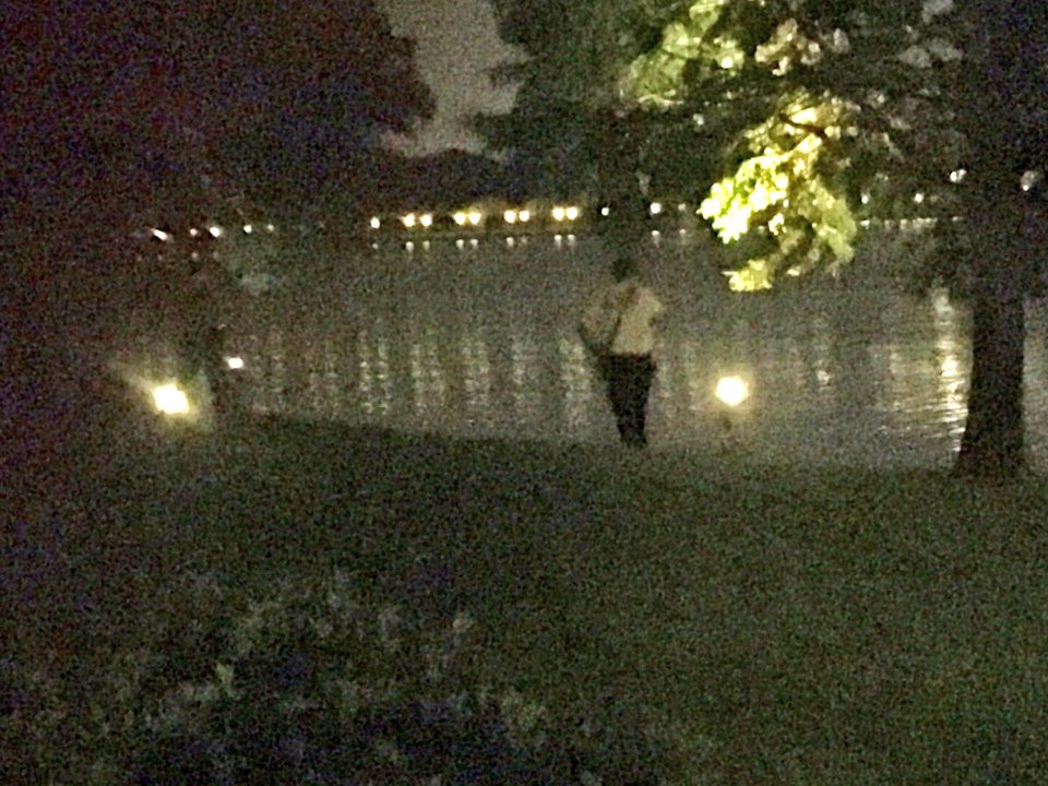 Νέο θρίλερ στις ΗΠΑ: Αλιγάτορας άρπαξε 2χρονο παιδί κοντά στη Disneyland  [εικόνες & βίντεο] | iefimerida.gr 2