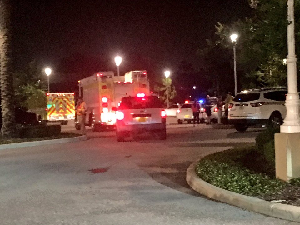 Νέο θρίλερ στις ΗΠΑ: Αλιγάτορας άρπαξε 2χρονο παιδί κοντά στη Disneyland  [εικόνες & βίντεο] | iefimerida.gr 0