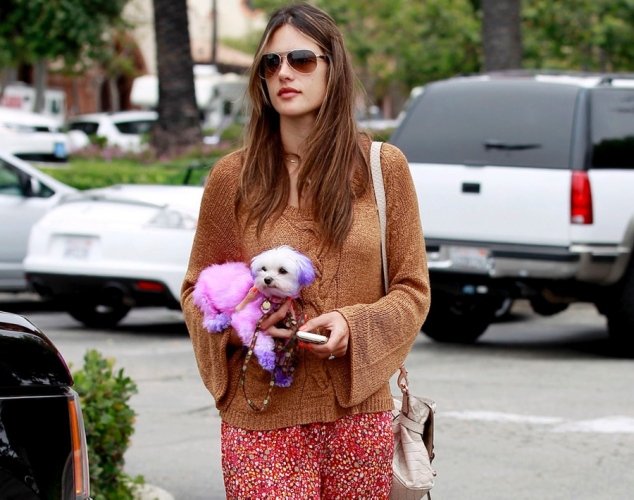 Τα τετράποδα «μωρά» των σταρ - Πιστοί φίλοι ή χνουδωτά αξεσουάρ; [εικόνες] | iefimerida.gr 2