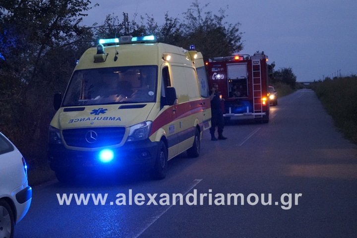 Τραγωδία στην Ημαθία: Τρένο παρέσυρε και διαμέλισε άνδρα [εικόνες] | iefimerida.gr 1