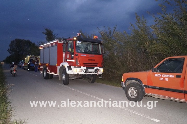Τραγωδία στην Ημαθία: Τρένο παρέσυρε και διαμέλισε άνδρα [εικόνες] | iefimerida.gr 2