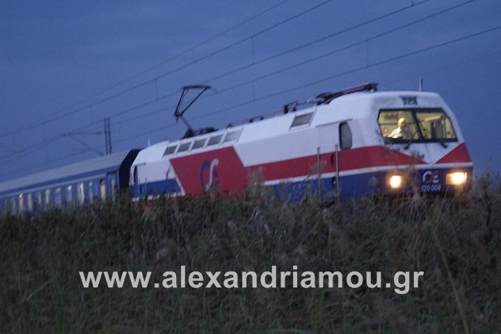 Τραγωδία στην Ημαθία: Τρένο παρέσυρε και διαμέλισε άνδρα [εικόνες] | iefimerida.gr 3