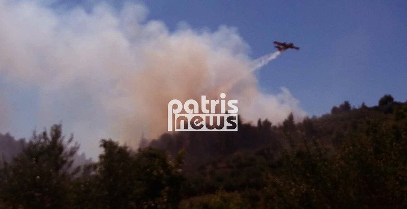 Πυρκαγιά σε δασική έκταση στη περιοχή Αλφειούσα στην Ηλεία | iefimerida.gr 1