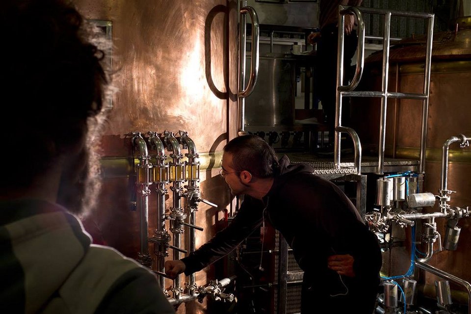 Success story: 4 νέοι από τη Θεσσαλονίκη παράτησαν τις δουλειές τους και φτιάχνουν «Αλη» (με ένα λ) μπύρα [εικόνες] | iefimerida.gr 1