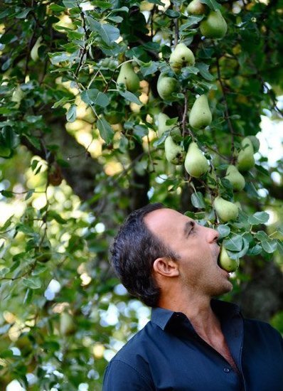 Ο Νίκος Αλιάγας μας δείχνει πόσο ωραία είναι η αυλή του παριζιάνικου σπιτιού του [εικόνες] | iefimerida.gr 0