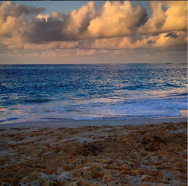 Το άλμπουμ των διακοπών του Νίκου Αλιάγα στην Κούβα [εικόνες] | iefimerida.gr 0