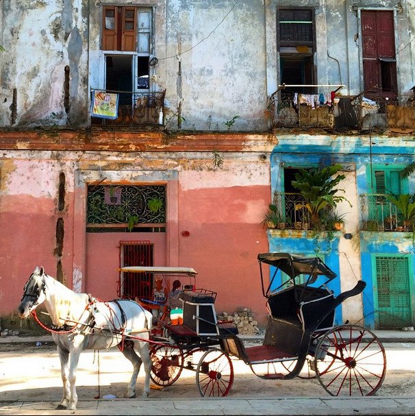 Το άλμπουμ των διακοπών του Νίκου Αλιάγα στην Κούβα [εικόνες] | iefimerida.gr 2