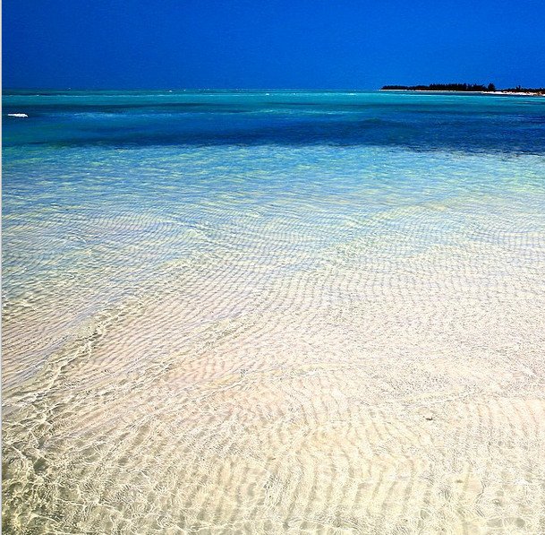 Το άλμπουμ των διακοπών του Νίκου Αλιάγα στην Κούβα [εικόνες] | iefimerida.gr 4