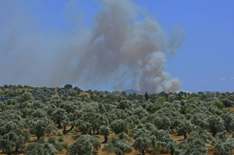 Μάχη με τις φλόγες στην Κερατέα - Σε απόσταση αναπνοής από σπίτια η φωτιά [εικόνες] | iefimerida.gr 6