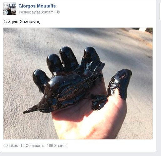 Φωτογράφος του Reuters παλεύει να σώσει από την πίσσα στον Σαρωνικό μια αλκυόνη [εικόνες] | iefimerida.gr 0