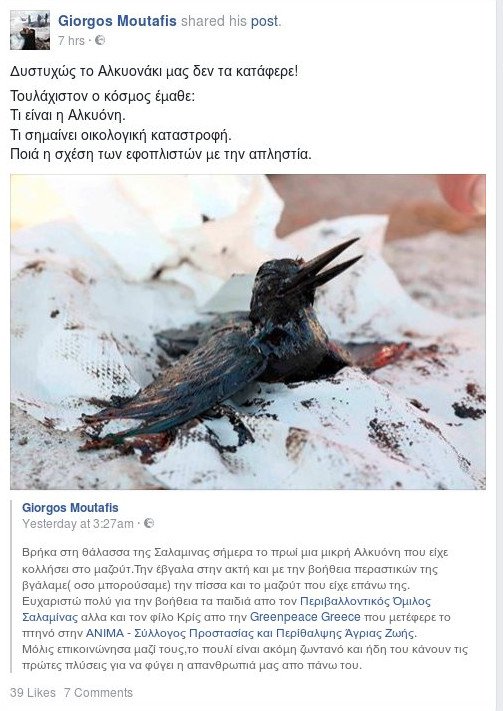 Φωτογράφος του Reuters παλεύει να σώσει από την πίσσα στον Σαρωνικό μια αλκυόνη [εικόνες] | iefimerida.gr 2