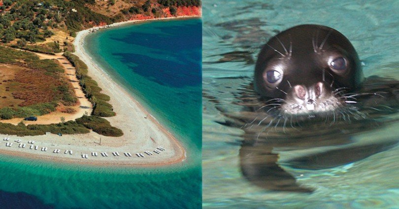 Το πρώτο ελληνικό νησί που καταργεί εντελώς την πλαστική σακούλα [εικόνες] | iefimerida.gr 1