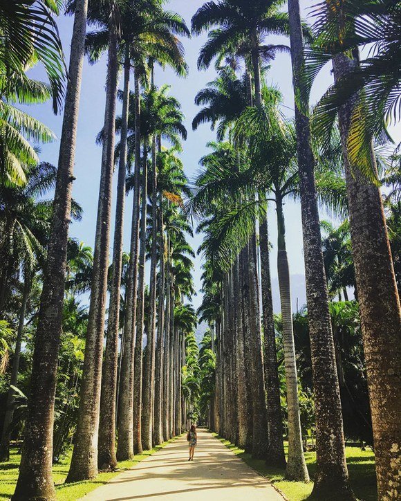 Ρίο Ντε Τζανέιρο: Ο χάρτης των φανατικών του Instagram -Τα σημεία για τα καλύτερα κλικ [εικόνες] | iefimerida.gr 5