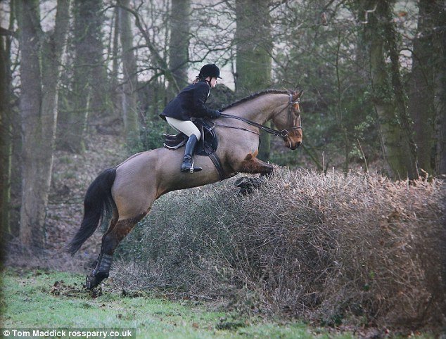 Μια συγκλονιστική ιστορία -Η 42χρονη που αυτοκτόνησε γιατί δεν άντεξε τον θάνατο του «καλύτερού της φίλου» [εικόνες] | iefimerida.gr 3