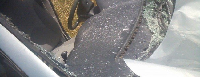 Τουρίστας στην Κρήτη νοίκιασε αυτοκίνητο και τράκαρε με... άλογο [εικόνες] | iefimerida.gr 0