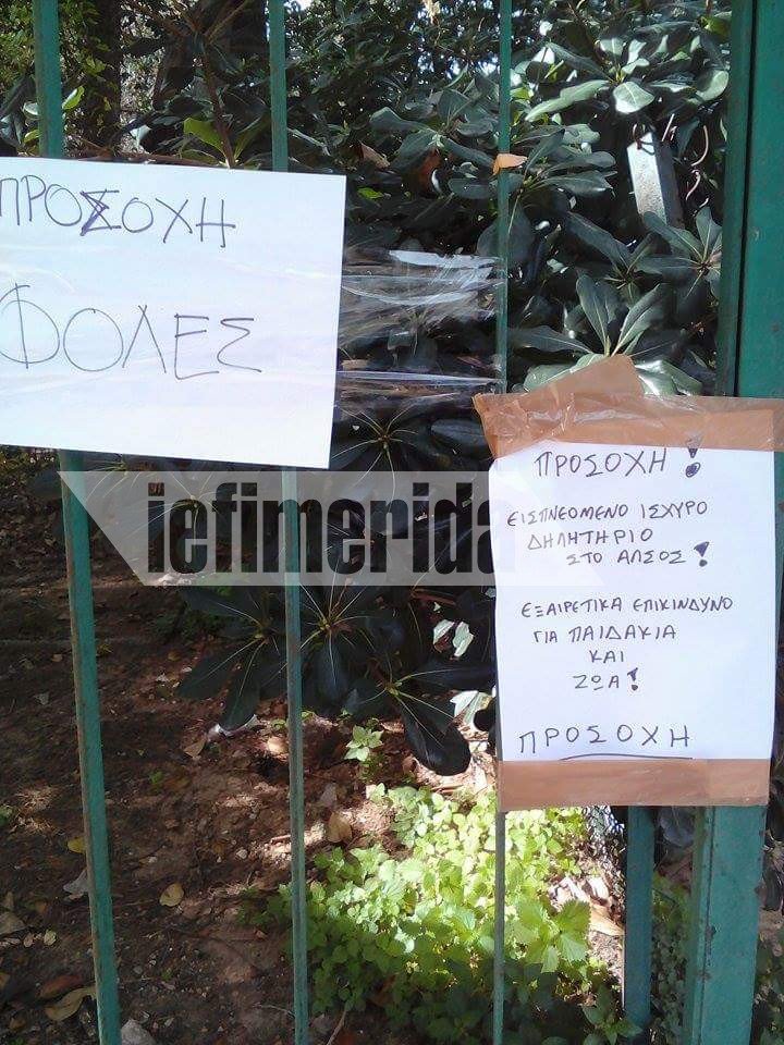 Διεστραμμένα μυαλά: Εβαλαν εισπνεόμενες φόλες στο Αλσος Παγκρατίου | iefimerida.gr 0