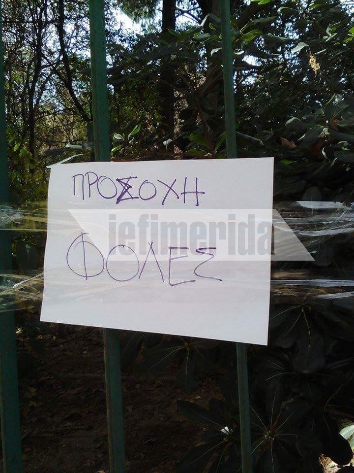 Διεστραμμένα μυαλά: Εβαλαν εισπνεόμενες φόλες στο Αλσος Παγκρατίου | iefimerida.gr 1