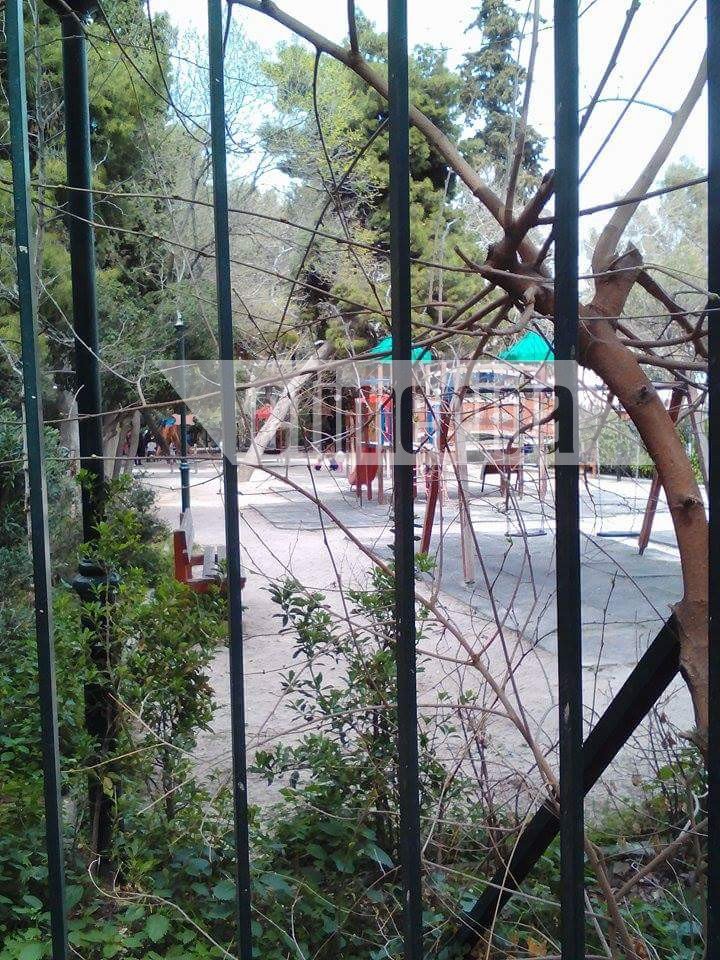 Διεστραμμένα μυαλά: Εβαλαν εισπνεόμενες φόλες στο Αλσος Παγκρατίου | iefimerida.gr 5