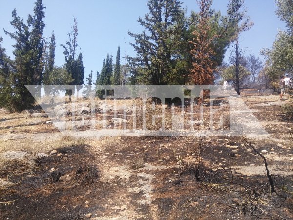 Σε ύφεση η πυρκαγιά στην Καισαριανή -Πίσω από το σκοπευτήριο [εικόνες & βίντεο]  | iefimerida.gr 0