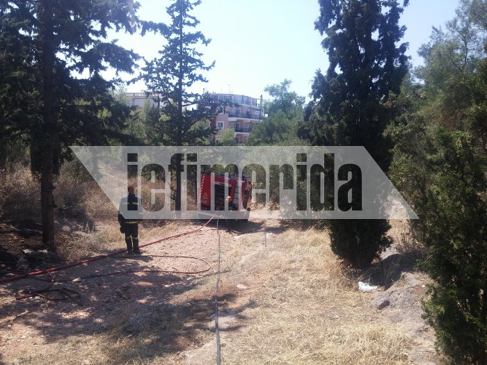 Σε ύφεση η πυρκαγιά στην Καισαριανή -Πίσω από το σκοπευτήριο [εικόνες & βίντεο]  | iefimerida.gr 1