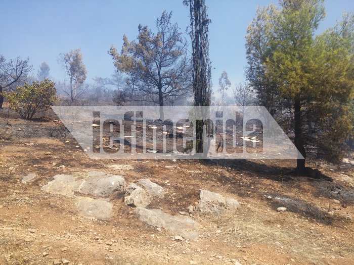 Σε ύφεση η πυρκαγιά στην Καισαριανή -Πίσω από το σκοπευτήριο [εικόνες & βίντεο]  | iefimerida.gr 2