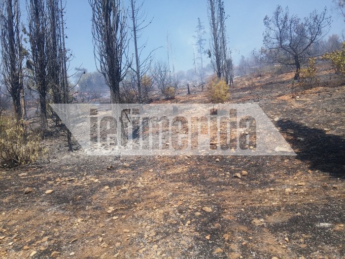 Σε ύφεση η πυρκαγιά στην Καισαριανή -Πίσω από το σκοπευτήριο [εικόνες & βίντεο]  | iefimerida.gr 4