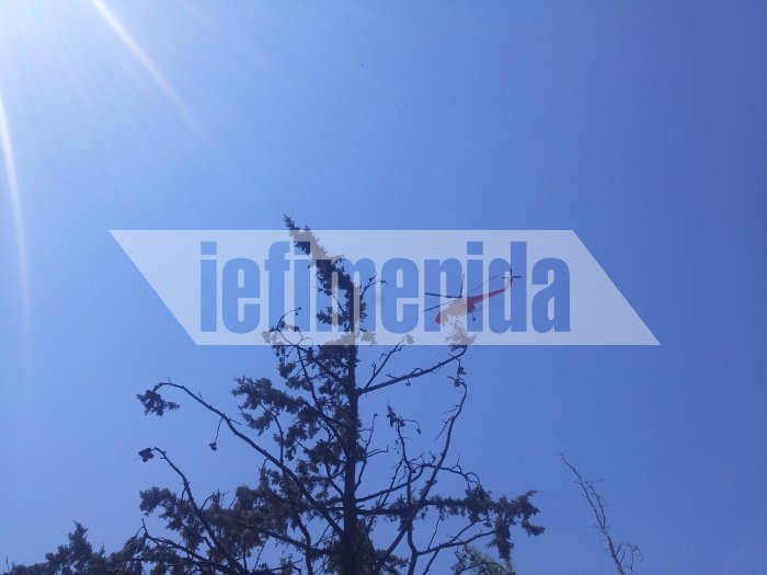 Σε ύφεση η πυρκαγιά στην Καισαριανή -Πίσω από το σκοπευτήριο [εικόνες & βίντεο]  | iefimerida.gr 6