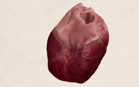 Επιστήμη σε 3D - Οι νικητές του διαγωνισμού επιστημονικής οπτικοποίησης 2012 [εικόνες] | iefimerida.gr 1