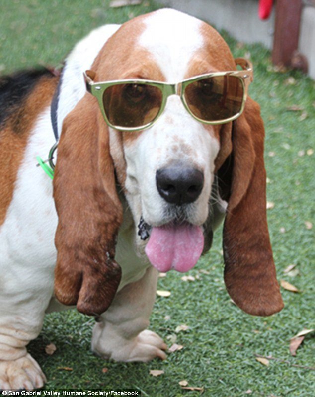 Το νέο μέλος της οικογένειας Τζορτζ Κλούνεϊ-Αμάλ Αλαμουντίν [εικόνες] | iefimerida.gr 0