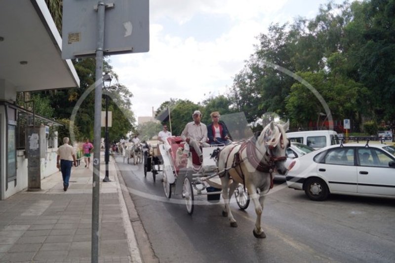 Διαμαρτυρία των αμαξάδων των Χανίων στο Δημαρχείο [εικόνες & βίντεο] | iefimerida.gr 1
